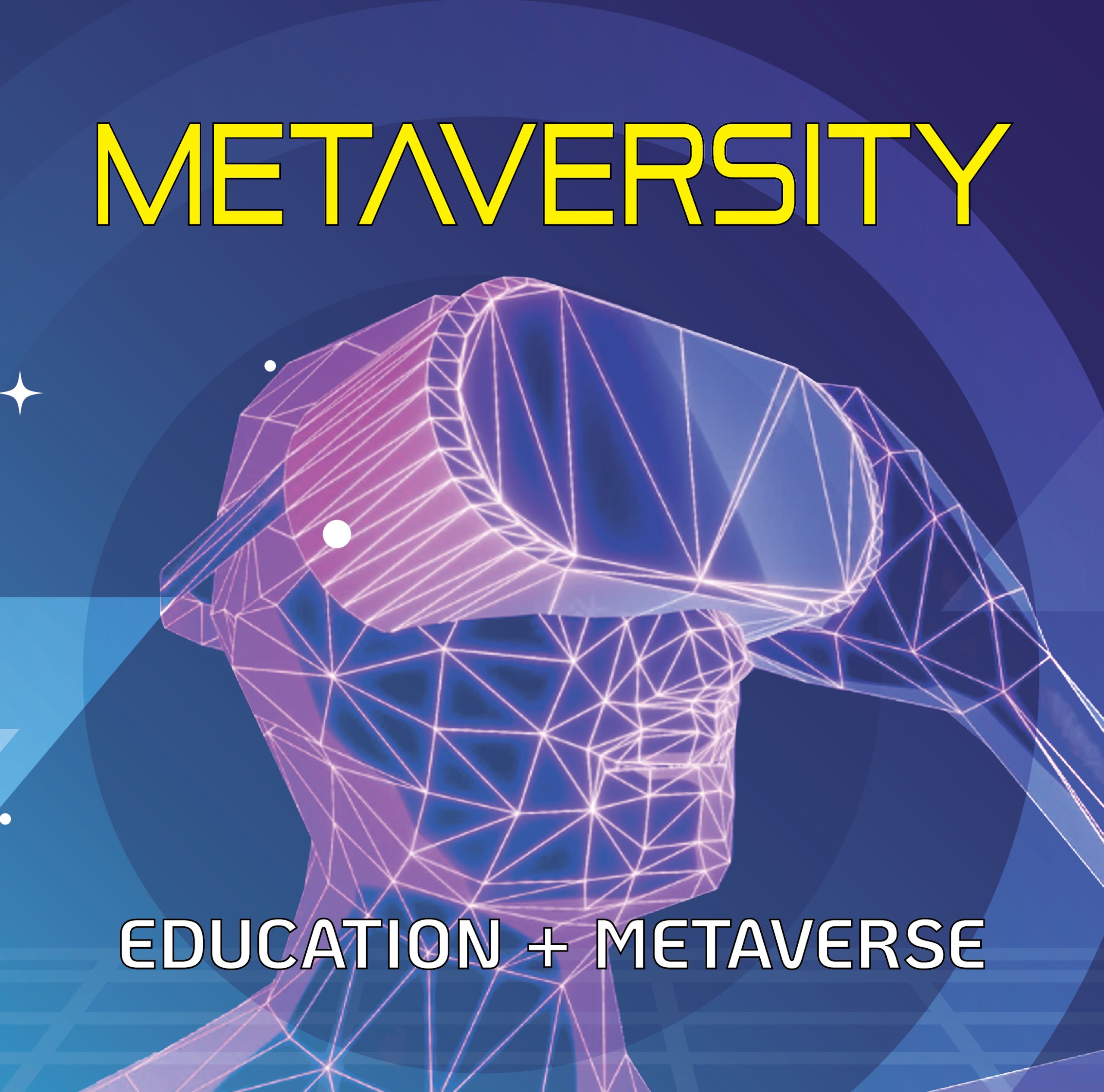 Metaversity